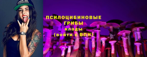 винт Алексин