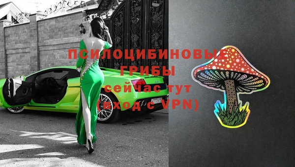 винт Алексин