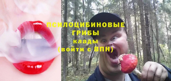 спиды Алексеевка
