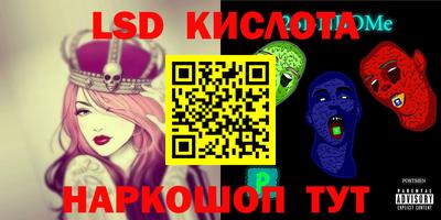 крисы Можга