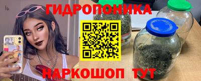 крисы Можга