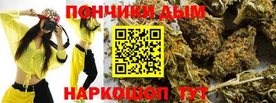 крисы Можга