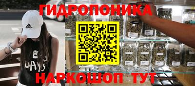 крисы Можга