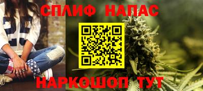 крисы Можга