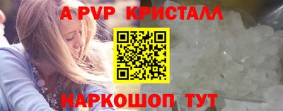 крисы Можга
