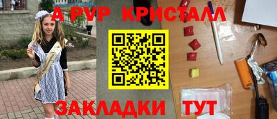 крисы Можга