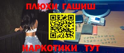 крисы Можга
