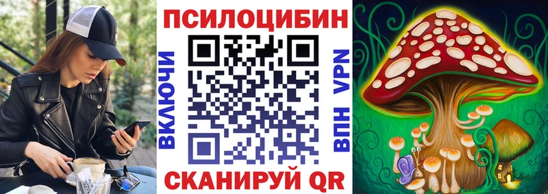Галлюциногенные грибы Psilocybine cubensis  Волгоград 