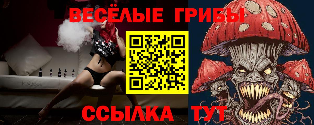 Псилоцибиновые грибы Magic Shrooms  закладки  Вход с VPN  Волгоград  Псилоцибиновые грибы мицелий 